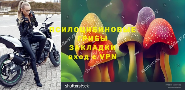 2c-b Алексин